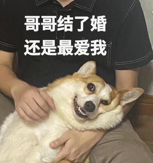 狗狗如何认人？（探寻狗狗对主人的情感连接）