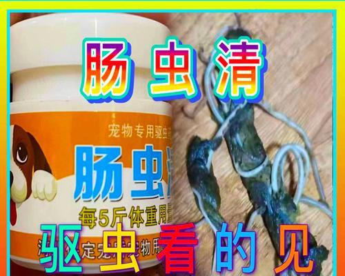 如何用药润滑狗狗肠道（选择合适的药物，维护狗狗肠道健康）