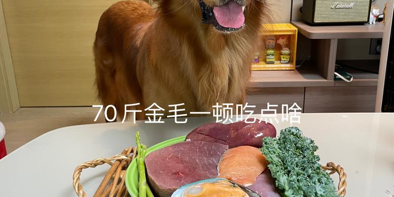 金毛的饮食指南（了解金毛的营养需求，让你的宠物健康成长）