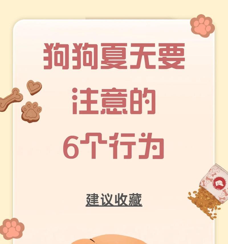 夏天养法斗的注意事项（为宠物法斗度过夏季做好准备）