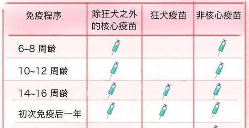 守护爱宠健康，探秘狗的六联疫苗（保护犬只免受多种疾病侵袭，重要性不可忽视）
