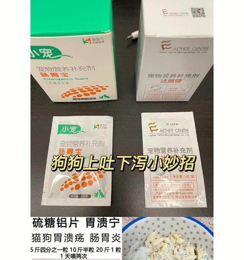小狗呕吐的治疗方法及药物介绍（探讨小狗呕吐的原因、症状及有效治疗方法）
