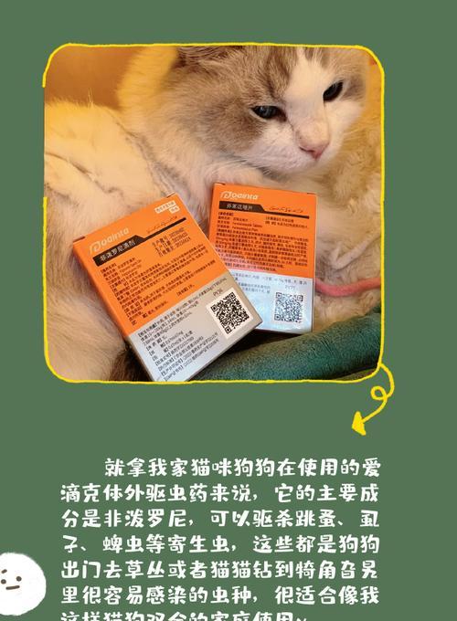 人吃的药可以给狗吃吗？（探讨人药对狗的安全性及注意事项）