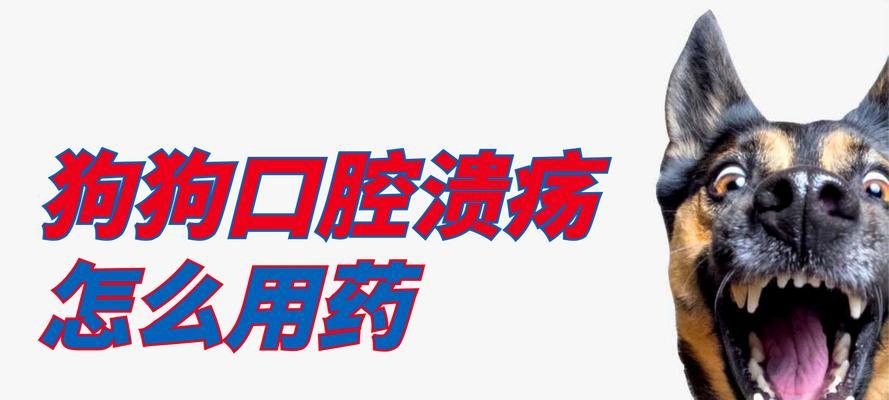 狗手术后饮食禁忌与护理方法（全面了解狗手术后的饮食要求，做好细致护理）