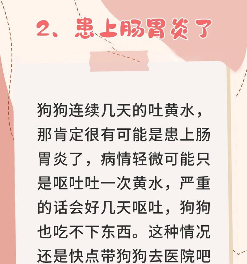 小狗为何频繁呕吐？（探究小狗吐的原因及应对方法）
