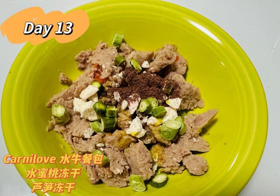 如何让泰迪增肥——全面指南（探索泰迪增肥的饮食和健康建议）