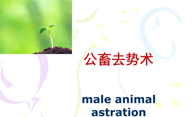 狗的去势与健康——让你的宠物拥有更好的生活（了解去势手术的意义，维护狗狗的健康和幸福）