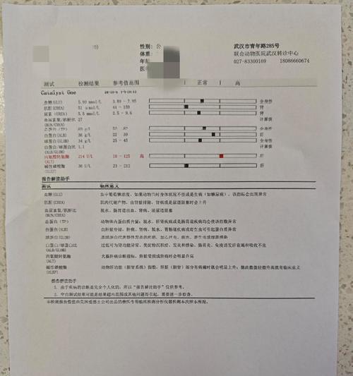 成年狗呕吐拉稀带血如何治疗？（了解狗狗常见的消化问题及药物治疗）