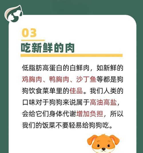 哺乳期金毛的养护要点（关爱金毛宝宝的健康成长）