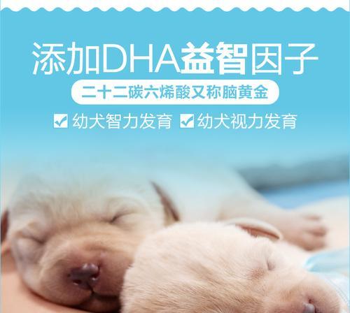 小奶狗的奶粉需求与选择（给小奶狗喂养奶粉的注意事项与建议）
