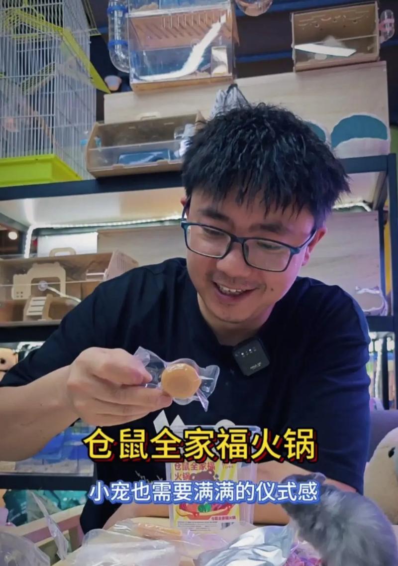老年仓鼠的零食选择与养护（老年仓鼠的健康福利与美味享受）