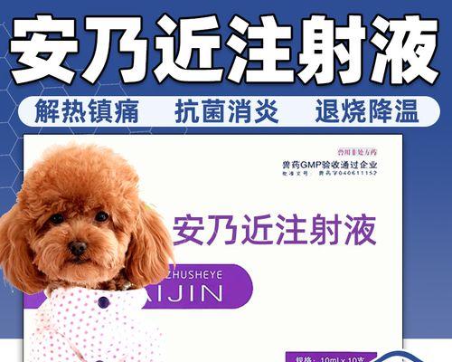 泰迪狗狗打疫苗，必不可少的防护措施（保护你的泰迪宝宝免受疾病侵害）