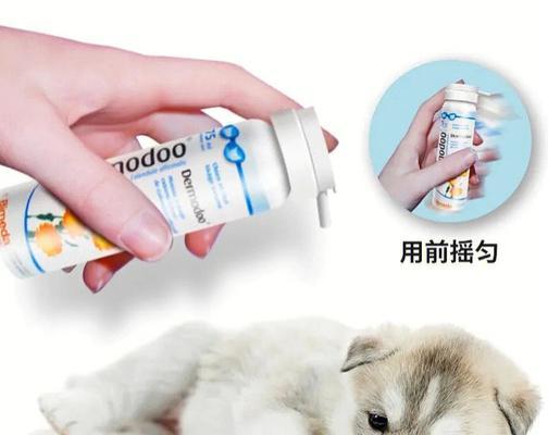 狗狗小便出血应该如何处理？（了解狗狗小便出血的原因及常用药物治疗方法）