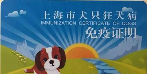 养狗指南（了解厦门市居民养狗所需的证件及申办程序）