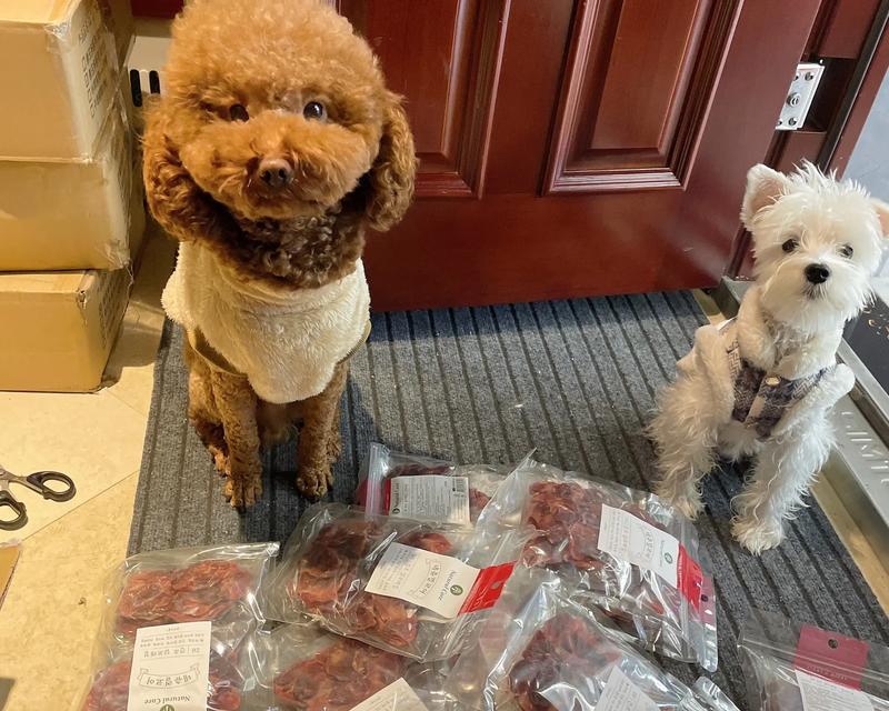 狗为什么喜欢埋零食？（探寻狗狗埋零食的行为背后的原因与动机）