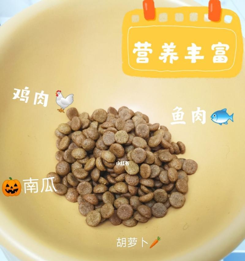 中小型犬50天饮食安排（科学喂养，健康成长）