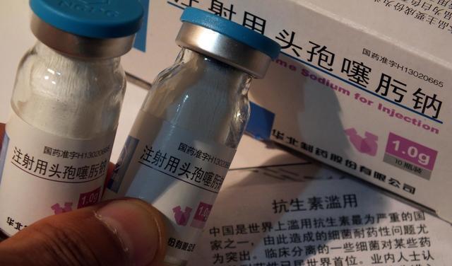 细小血痢治疗药物详解（探寻细小血痢病因，科学选药治疗）