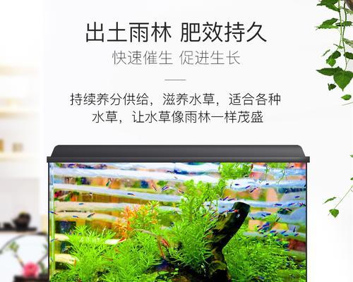 草缸底砂选择的关键因素（了解不同类型底砂的特点和适用场景）