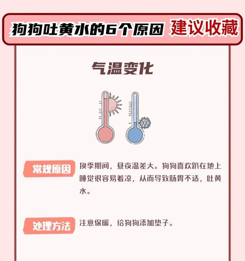 狗狗突然吐黄水，可能患有胆汁反流症（了解狗狗吐黄水的原因和应对方法，宠物健康才能有保障）