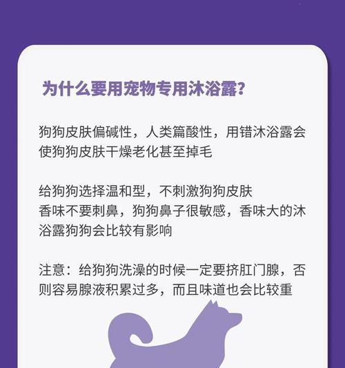 狗狗疫苗前后需要注意的事项（确保宠物健康，关注疫苗接种细节）