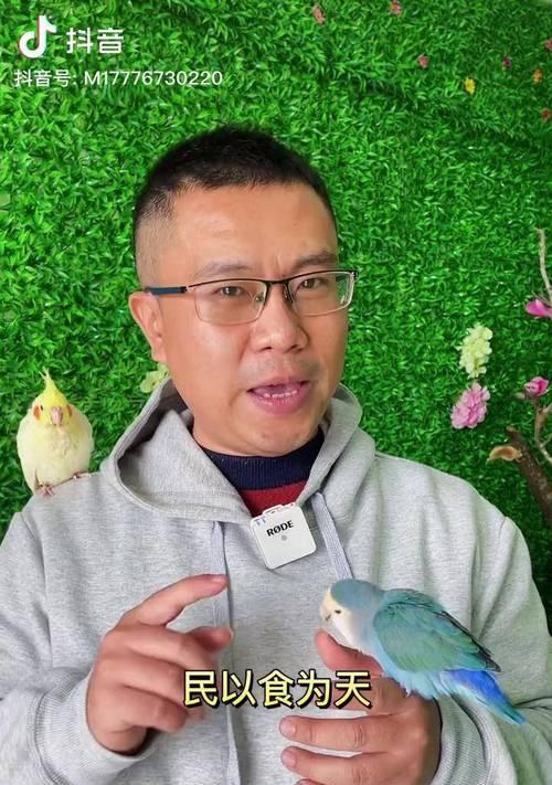以牡丹鹦鹉的饮食需求为主题的喂养指南（了解牡丹鹦鹉的喜好，提供健康的饮食选择）