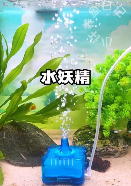 新鱼缸水为何会发浑？（解析新鱼缸水浑浊的原因及处理方法）