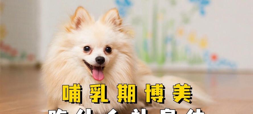 母犬产后饮食需要注意的事项（宜吃的食物、忌吃的食物及科学合理的喂养）