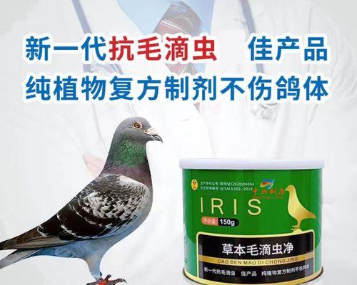 治疗以赛鸽毛滴虫的药物选择（药物疗法的及治疗效果分析）