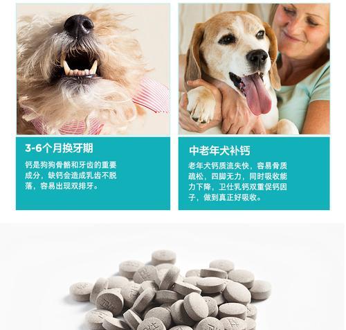狗狗产后补钙的重要性（狗狗产后补钙食物推荐）