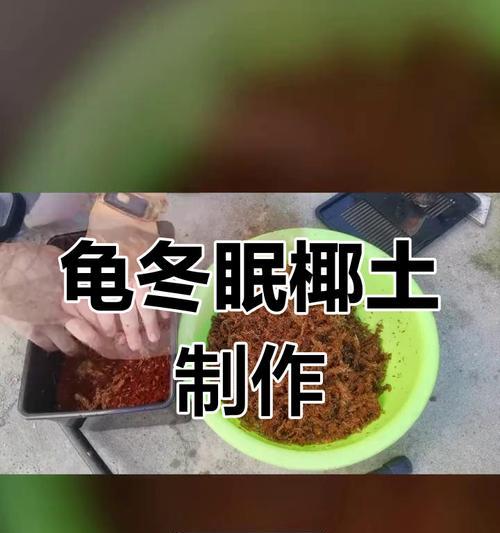 乌龟消毒的最佳药物选择（保护乌龟健康的关键措施）