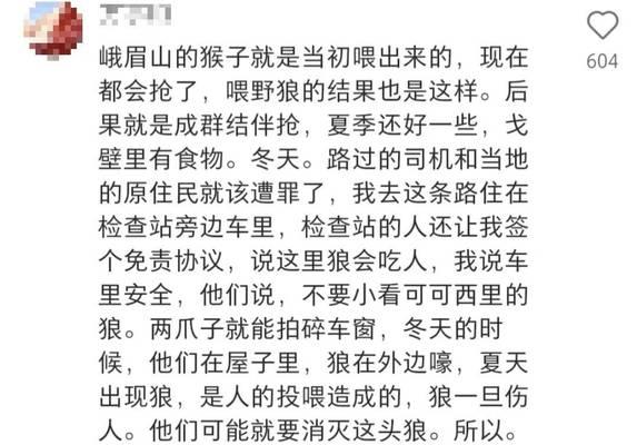 以狗长狼指的影响（探究狗狼同源性的影响和观察行为特征的突变）