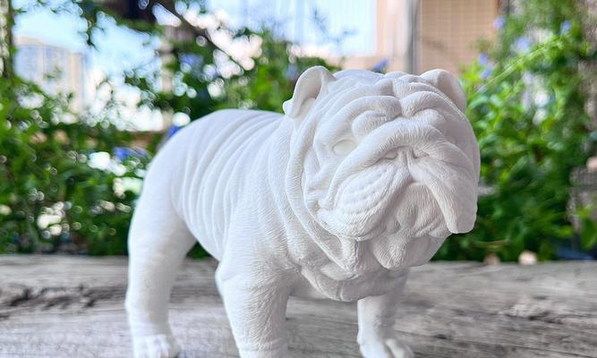 英斗犬颜色与价值——揭开最值钱的秘密（探寻英斗犬市场中最有市场竞争力的颜色）