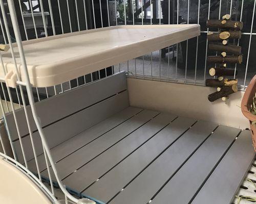 夏天兔子的散热方式（探究兔子如何通过耳朵散热）