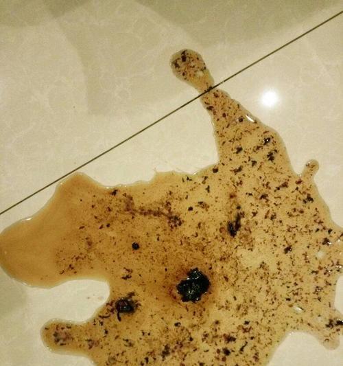 金毛狗的饮食习惯与排泄特点（探究金毛狗吃什么吐什么的原因与解决方法）