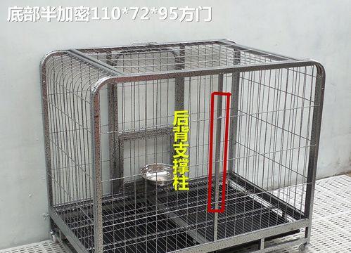 如何正确使用消毒水为幼犬的笼子进行消毒（选择合适的消毒水，确保幼犬健康与安全）