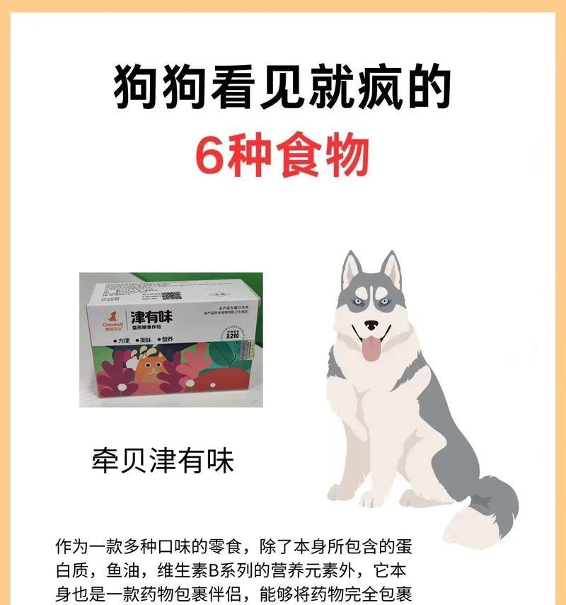 小宠物狗的健康饮食指南（为您的狗狗选择最适合的食物）