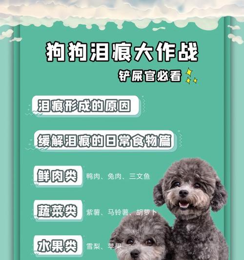 小狗眼睛红的原因及饮食调理（宠物狗眼睛红肿应该吃什么？）