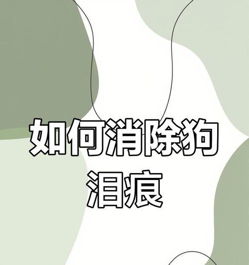 狗狗泪痕重的原因分析（了解泪痕重的原因，为宠物狗的健康着想）