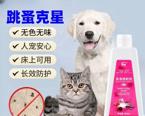 狗狗去虱的有效方法（如何有效防治和治疗狗狗身上的虱子）