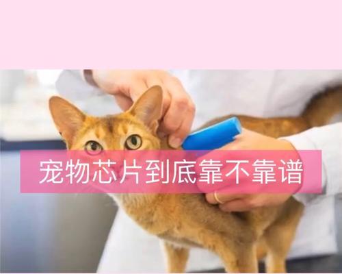 狗的芯片（让你的狗狗永远不会迷失——狗的芯片让宠物保持安全与联系）