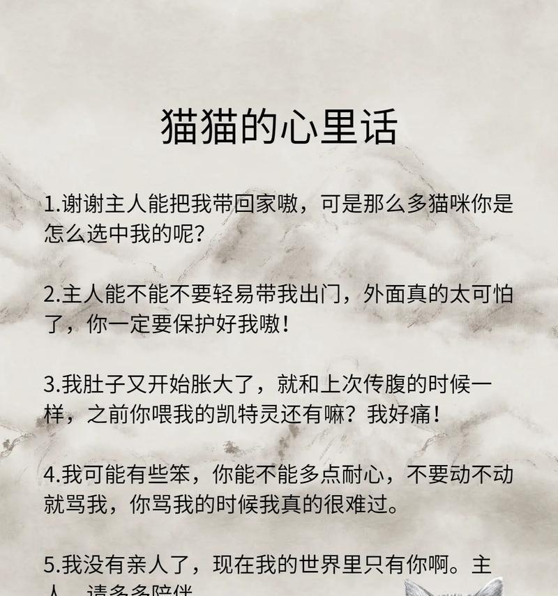 带猫咪回家的注意事项（为了宠物和自己的幸福，不可忽视的细节）