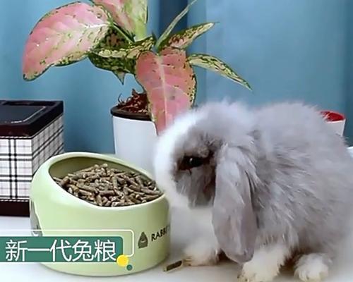 以兔粮为主食的动物有哪些？（揭秘以兔粮为主食的动物群体，让你大开眼界！）