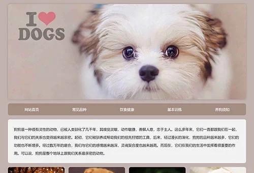 宠物狗为什么关起来会叫不停？（探究宠物狗叫不停的原因及解决方法）