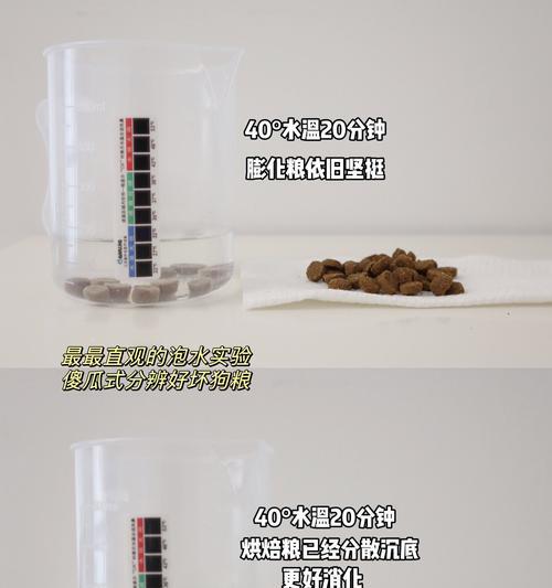 狗肠道出血的药物治疗方案（药物治疗狗肠道出血的有效方法与注意事项）