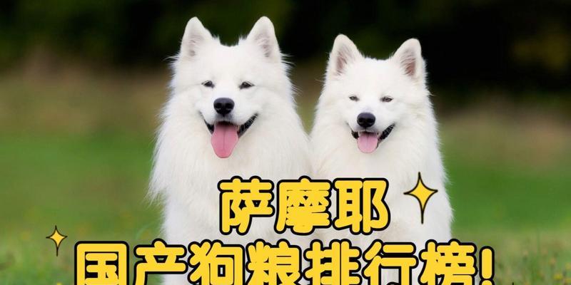 萨摩耶的狗粮选择（了解萨摩耶适合食用的狗粮品牌和种类）