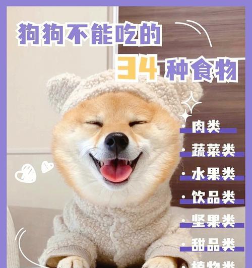 狗狗的饮食习惯——什么时候是一年中最佳进食时间？（了解狗狗的进食时间和习惯，让它们吃得更健康）