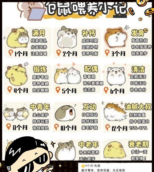 仓鼠宝宝断奶的重要性与方法（培养健康幼小宠物的关键一步——仓鼠宝宝断奶）