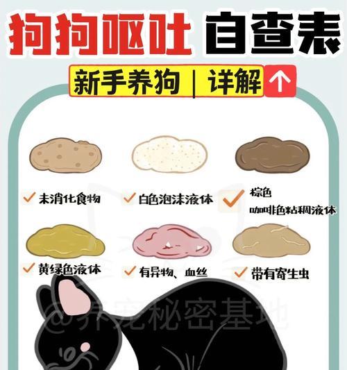 解读狗狗频繁呕吐的原因（从饮食、健康到心理，了解狗狗呕吐问题的全貌）