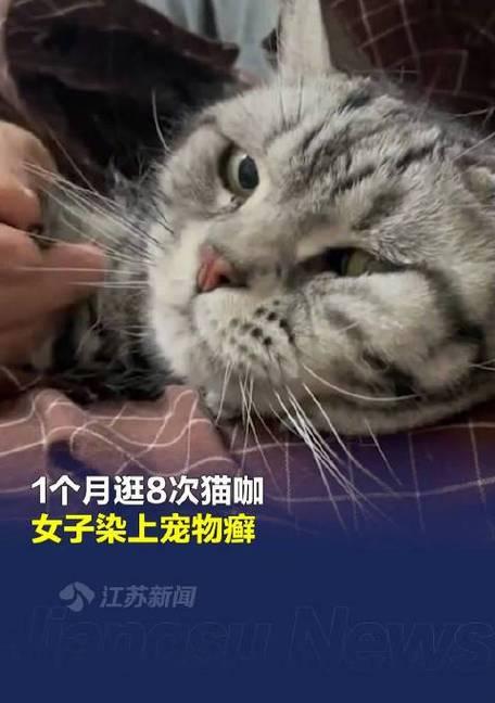 探究猫长癣的原因及预防方法（猫长癣的原因分析及有效的预防策略）