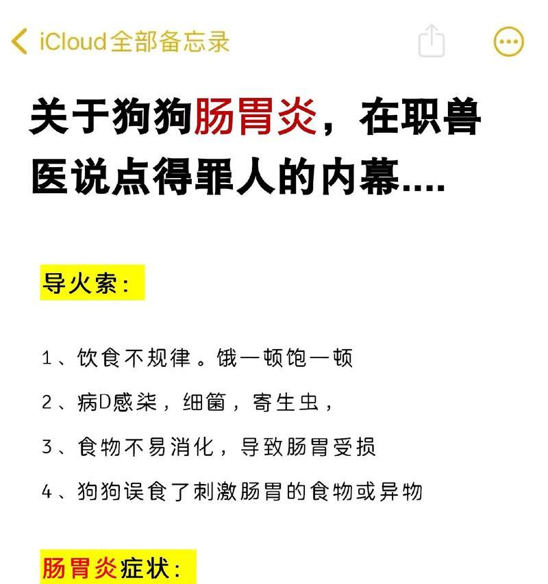 狗狗腹泻后的饮食指南（狗狗腹泻后适合食用的食物和注意事项）